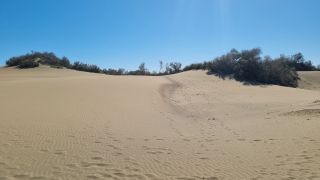 2023-GC--Mapalomas dunas-S123-107.jpg